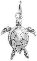 Charm Giovanni Raspini Charms in Argento 10715 - 10715